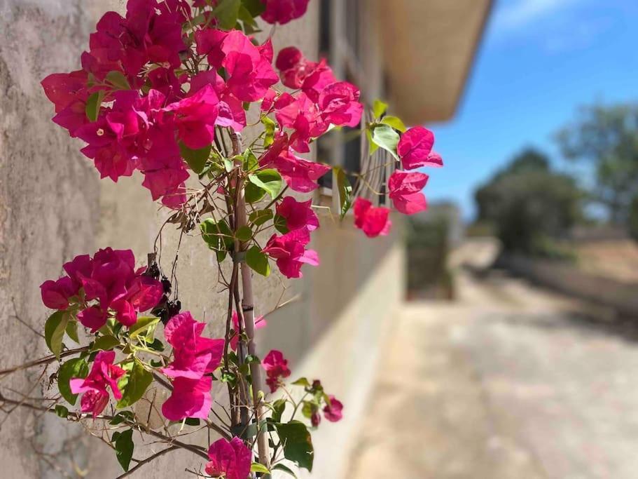 Villa Ificumori, Campagna Ammare Marina di Modica Exterior foto