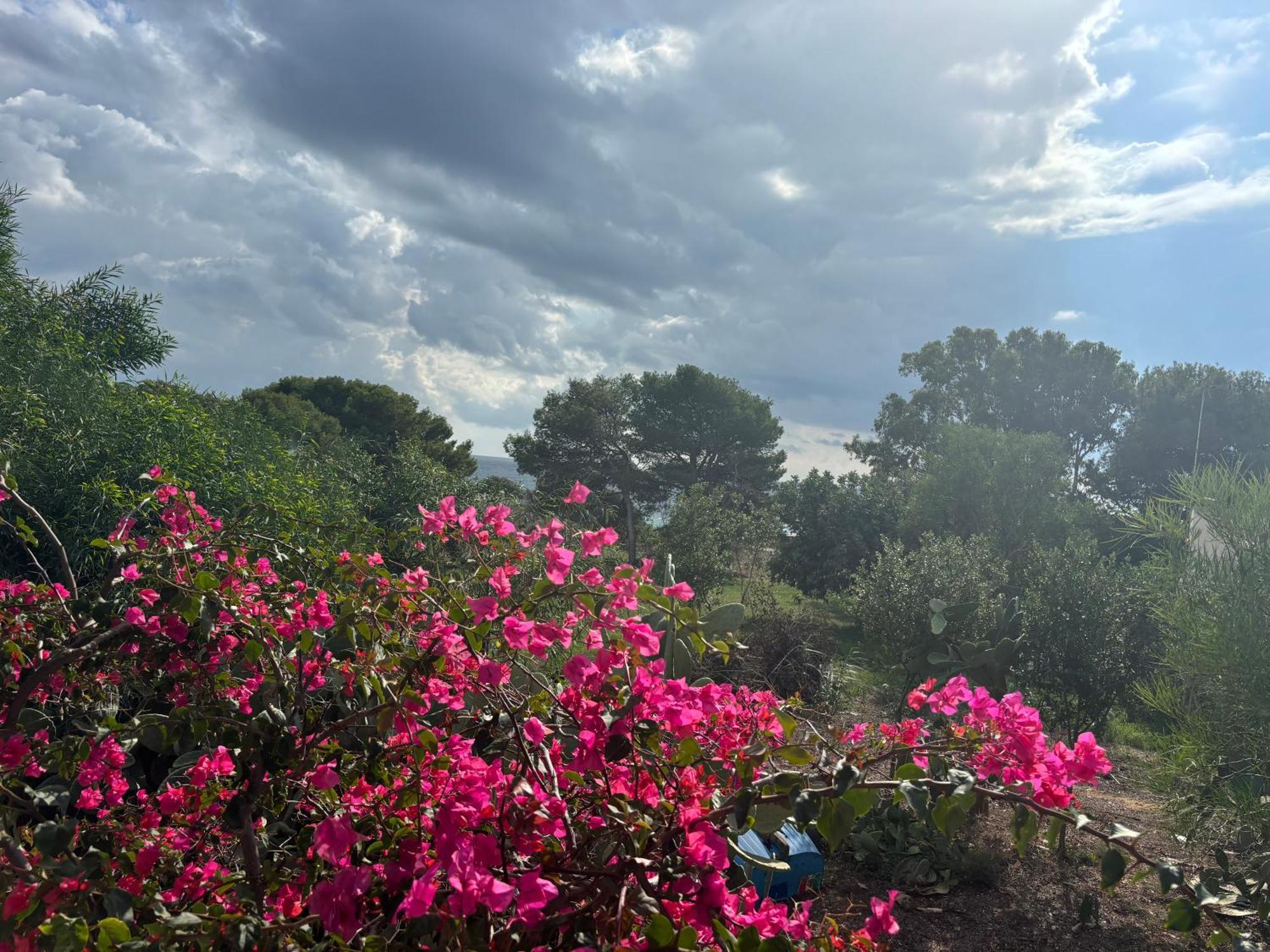 Villa Ificumori, Campagna Ammare Marina di Modica Exterior foto